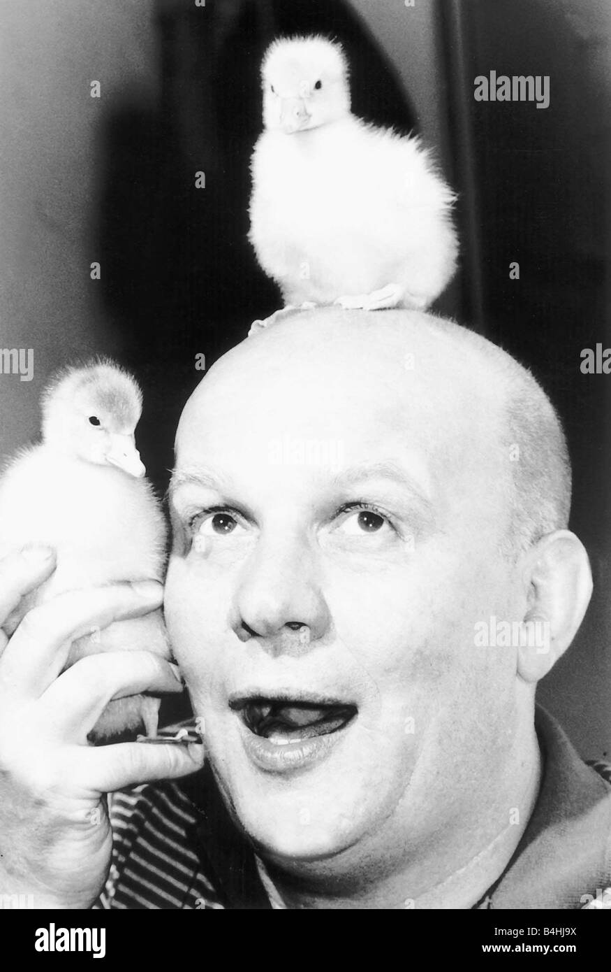 Brian Glover acteur britannique avec les oisons pet Juillet 1984 Banque D'Images