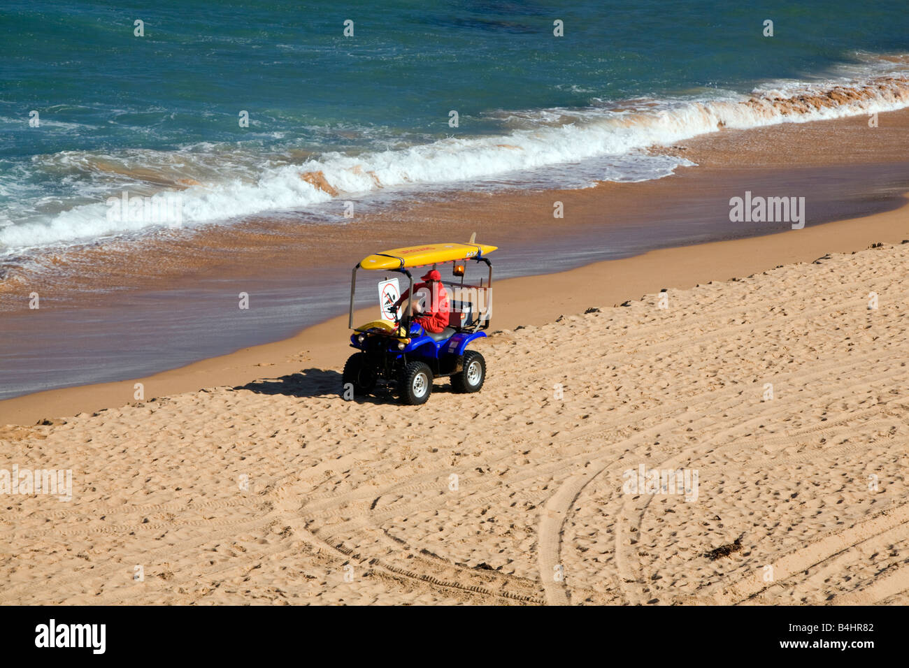 Au volant de son buggy ligeguard surf sur la plage de Newport, l'un des célèbres plages du nord de Sydney, Australie Banque D'Images