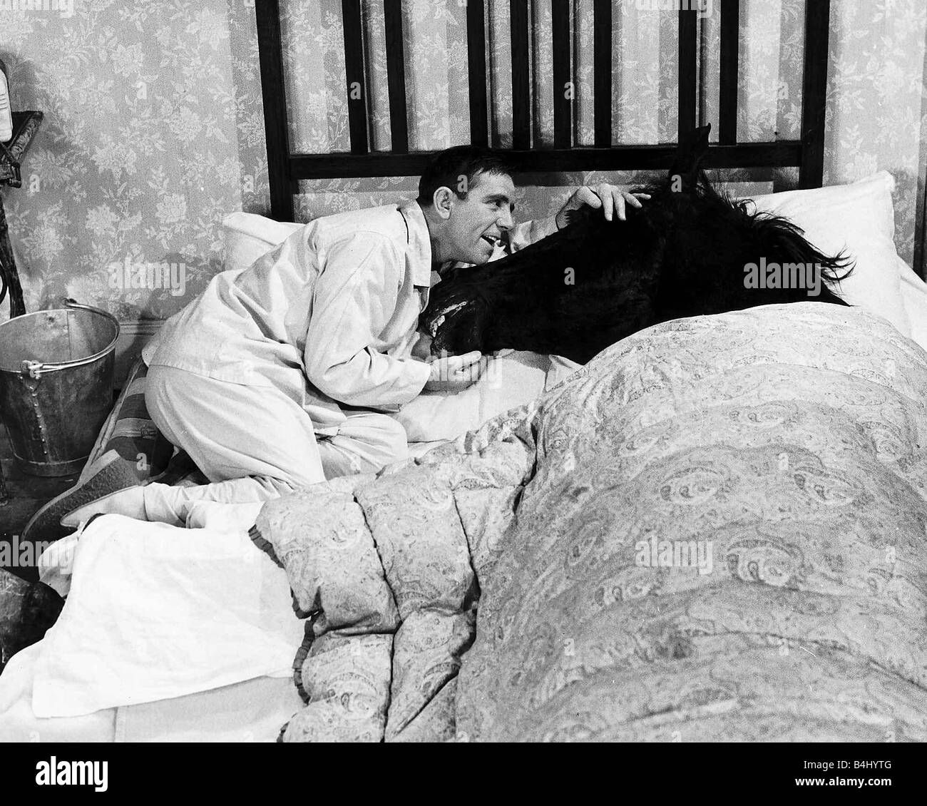Acteur comédien sagesse Norman au lit avec Nellie le cheval dans une scène du film l'oiseau au début Banque D'Images