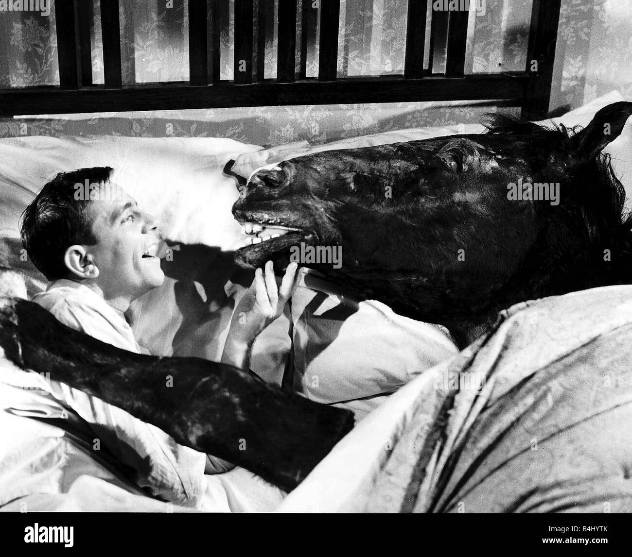 Acteur comédien sagesse Norman au lit avec Nellie le cheval dans une scène du film l'oiseau au début Banque D'Images