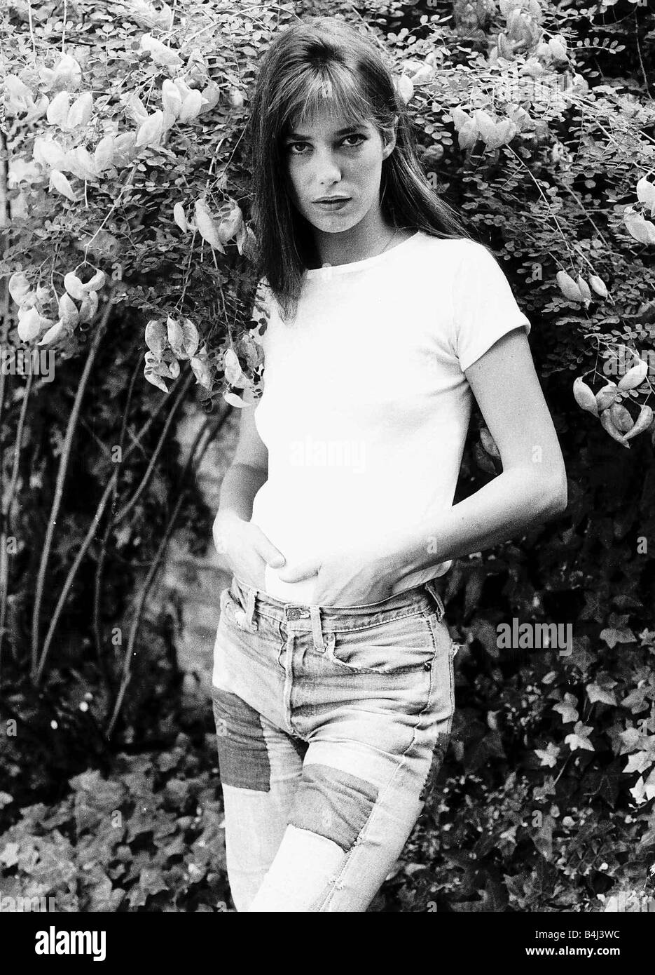 L actrice Jane Birkin Novemebr 1980 MSI DBase Photo Stock Alamy