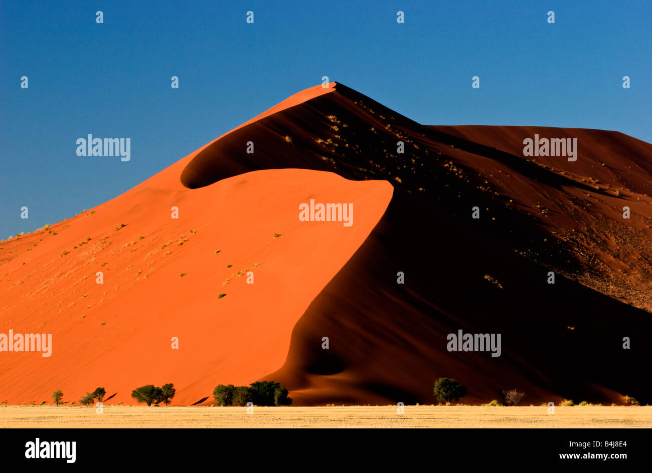 Dune de sable le Namib-Naukluft National Park, Namibie Banque D'Images