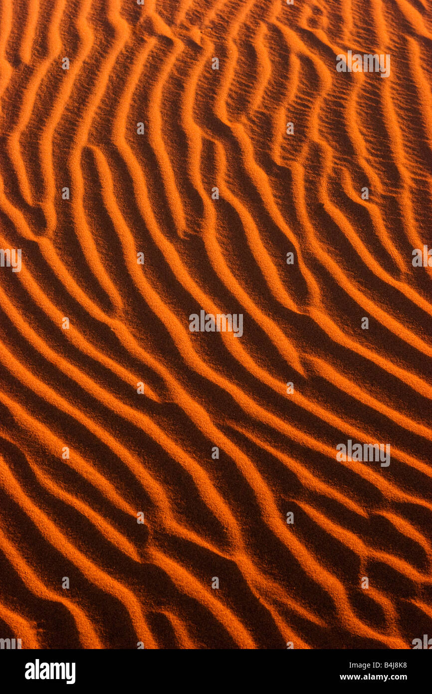 Les ondulations du sable dans le Namib-Naukluft National Park, Namibie Banque D'Images