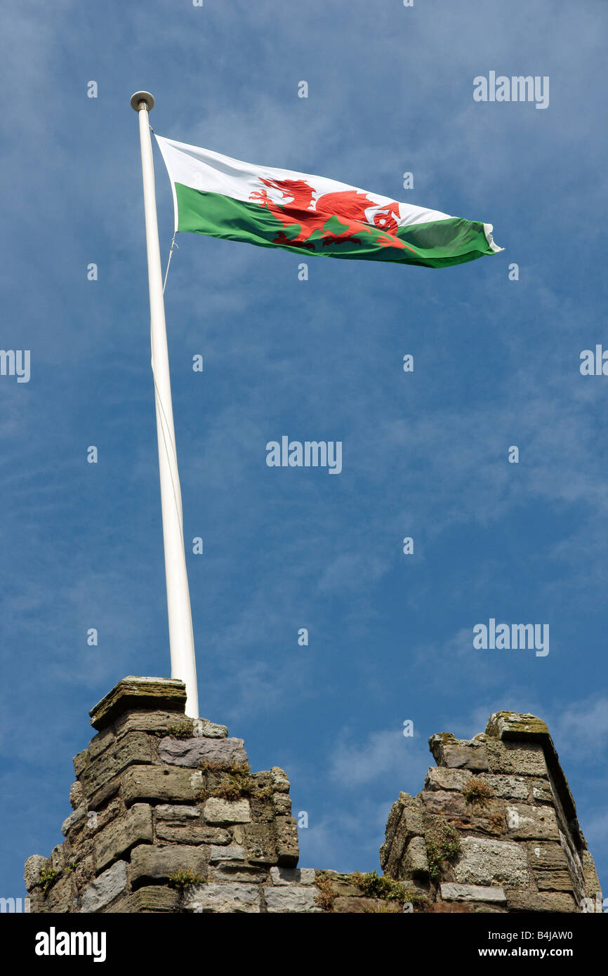 Le drapeau gallois volant au-dessus de Château de Caernarfon Gwynedd dans l'ouest du pays de Galles du Nord Banque D'Images