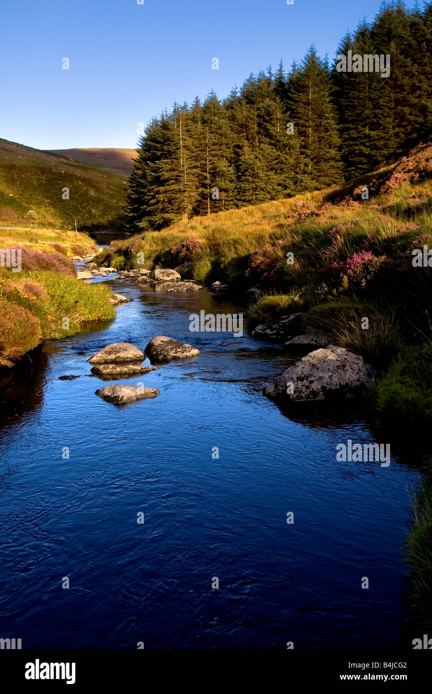 Stream à Wicklow Hills,Automne, Irlande Banque D'Images