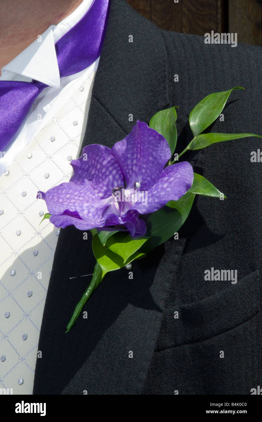 Fleur pourpre dans le trou du bouton de costume de mariage Banque D'Images