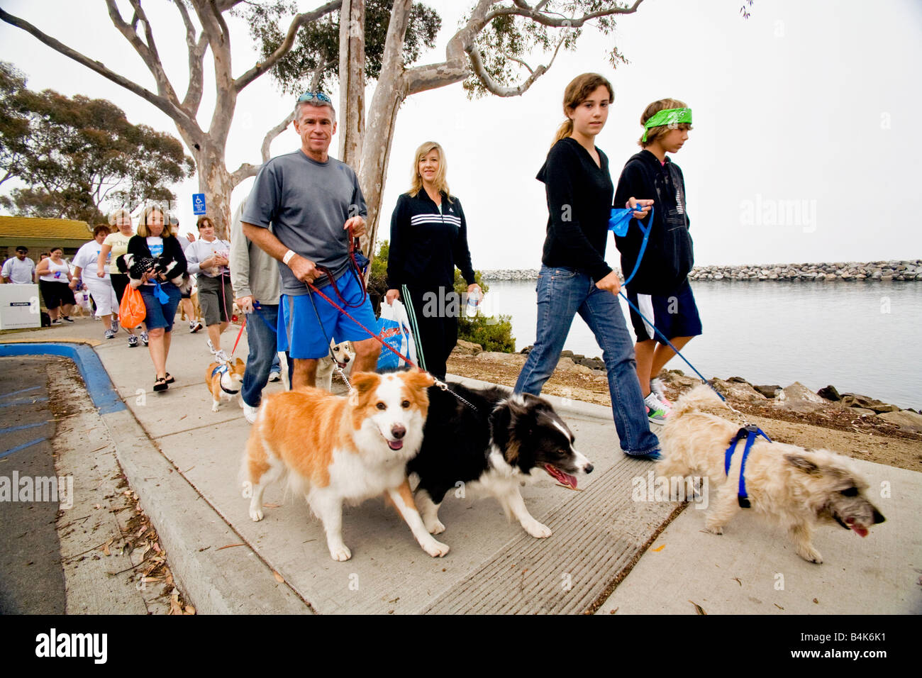 Les propriétaires de chiens de nombreux âges défilent avec leurs animaux de compagnie à un week-end Wag un thon dans la région de Dana Point CA Banque D'Images