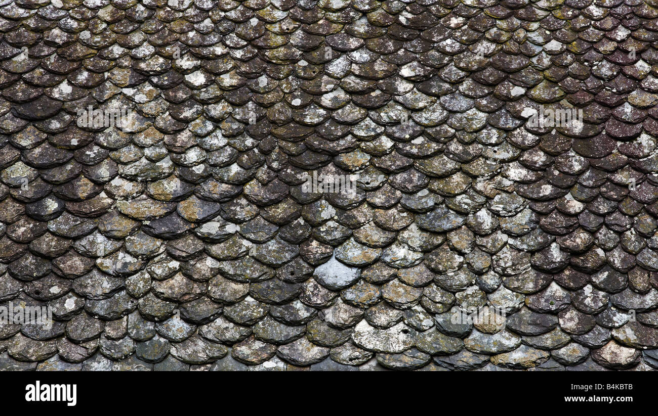 Couverture écailles de poisson dans la vallée du Lot, France Banque D'Images