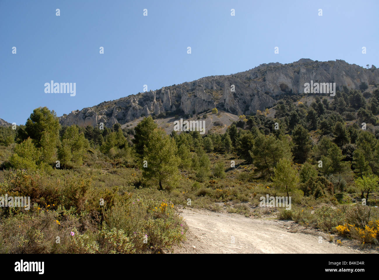 La voie à Vila de Muro rock pinacles, Sierra de Serrella, Comtat, Province d'Alicante, Valence, Espagne Comunidada Banque D'Images