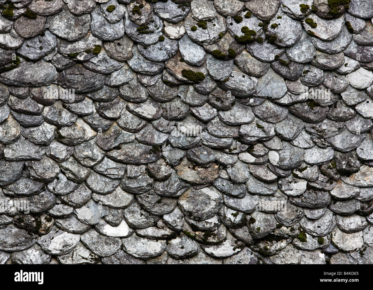 Couverture écailles de poisson dans la vallée du Lot, France Banque D'Images