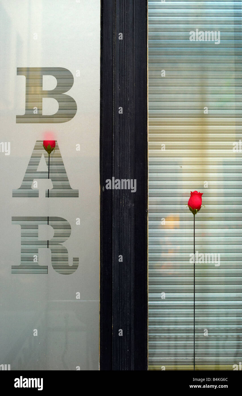 Roses rouge en plastique dans un bar dans le Hackeschen Hoefen, Berlin, Allemagne Banque D'Images Roses rouge en plastique dans un bar dans le Hackeschen Hoefen, Berlin, Allemagne Banque D'Images