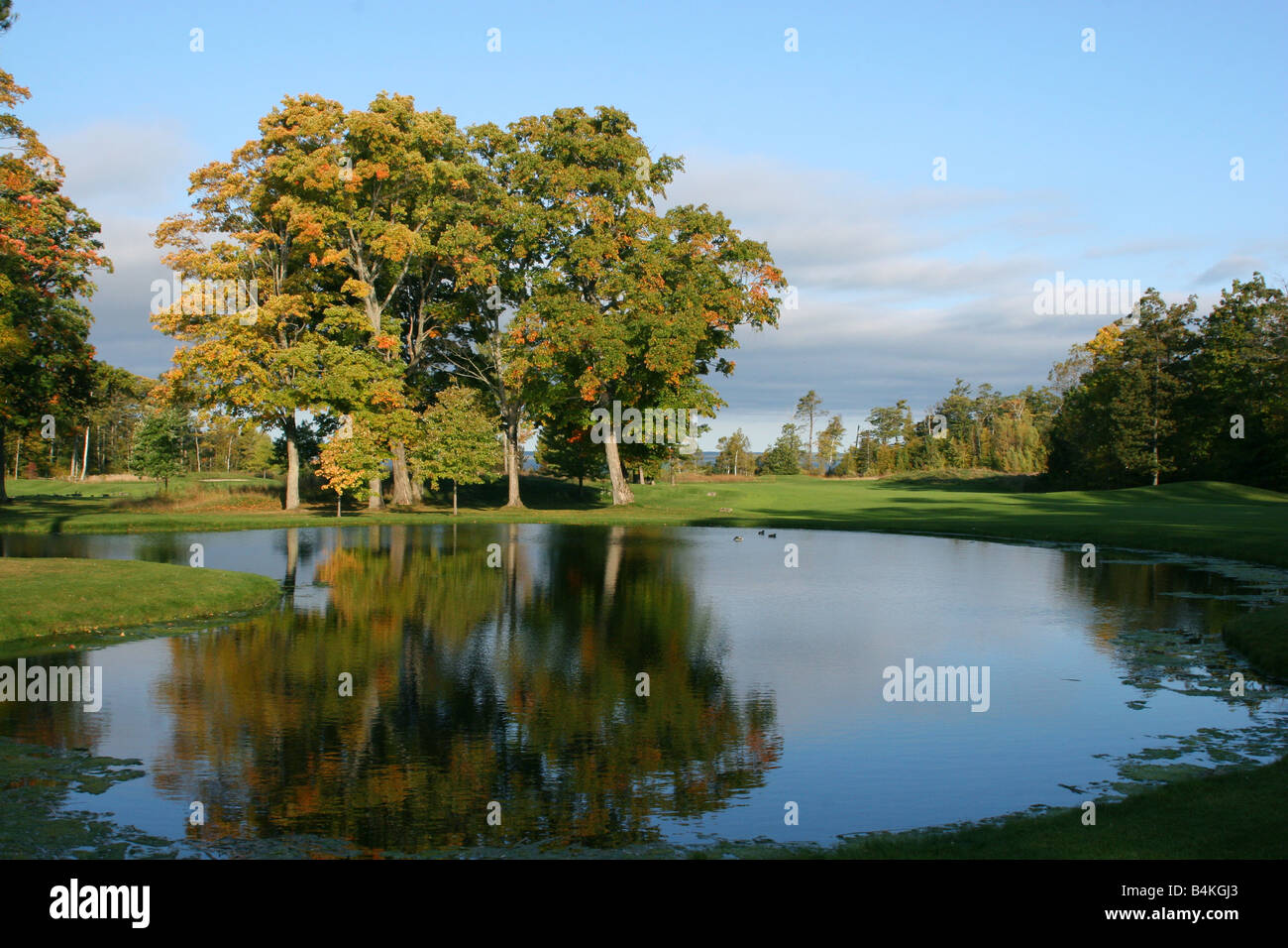 Tree and Pond, parcours de golf, Mackinaw Island, Michigan, États-Unis, Par Carol Dembinsky/Dembinsky photo Assoc Banque D'Images