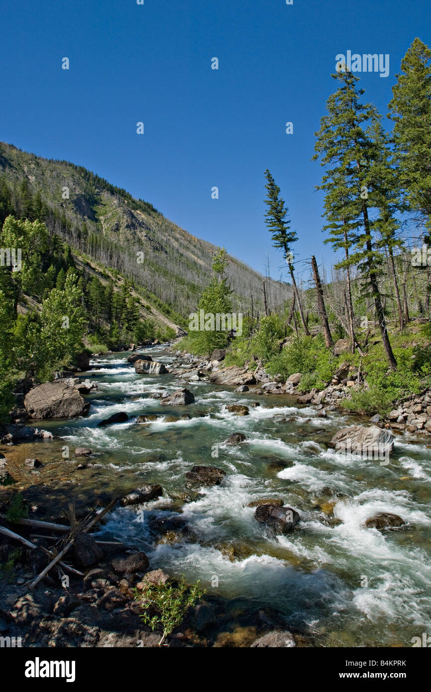 L'embranchement nord de la rivière Blackfoot dans le bouc émissaire Wilderness Area près de Missoula, Montana Banque D'Images