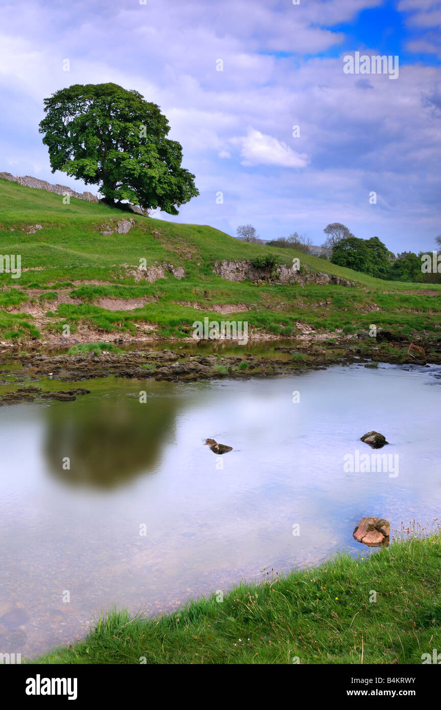 Partie de la tranquille et paisible près de Wharfedale près de Grassington Tonbridge North Yorkshire Angleterre UK Banque D'Images