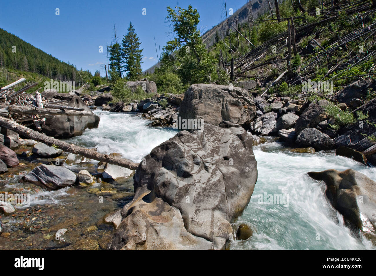 L'embranchement nord de la rivière Blackfoot dans le bouc émissaire Wilderness Area près de Missoula, Montana Banque D'Images