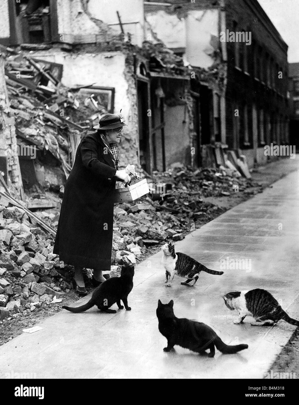 Des raids aériens de la guerre Animaux Chats Octobre 1940 Mme Caroline Roberts de Lindfield Street Londres peuplier sans-abri d'alimentation chats com Banque D'Images