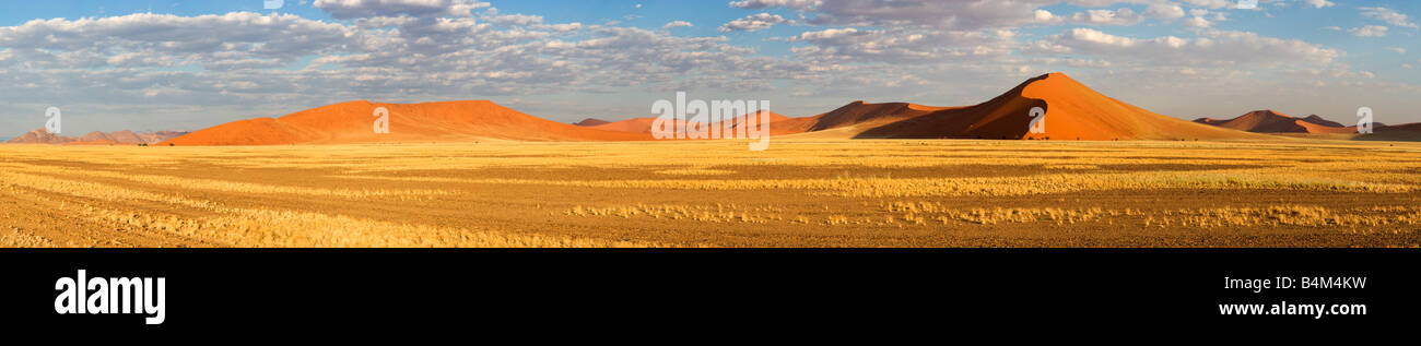 Dunes de sable dans le Namib-Naukluft National Park, Namibie Banque D'Images