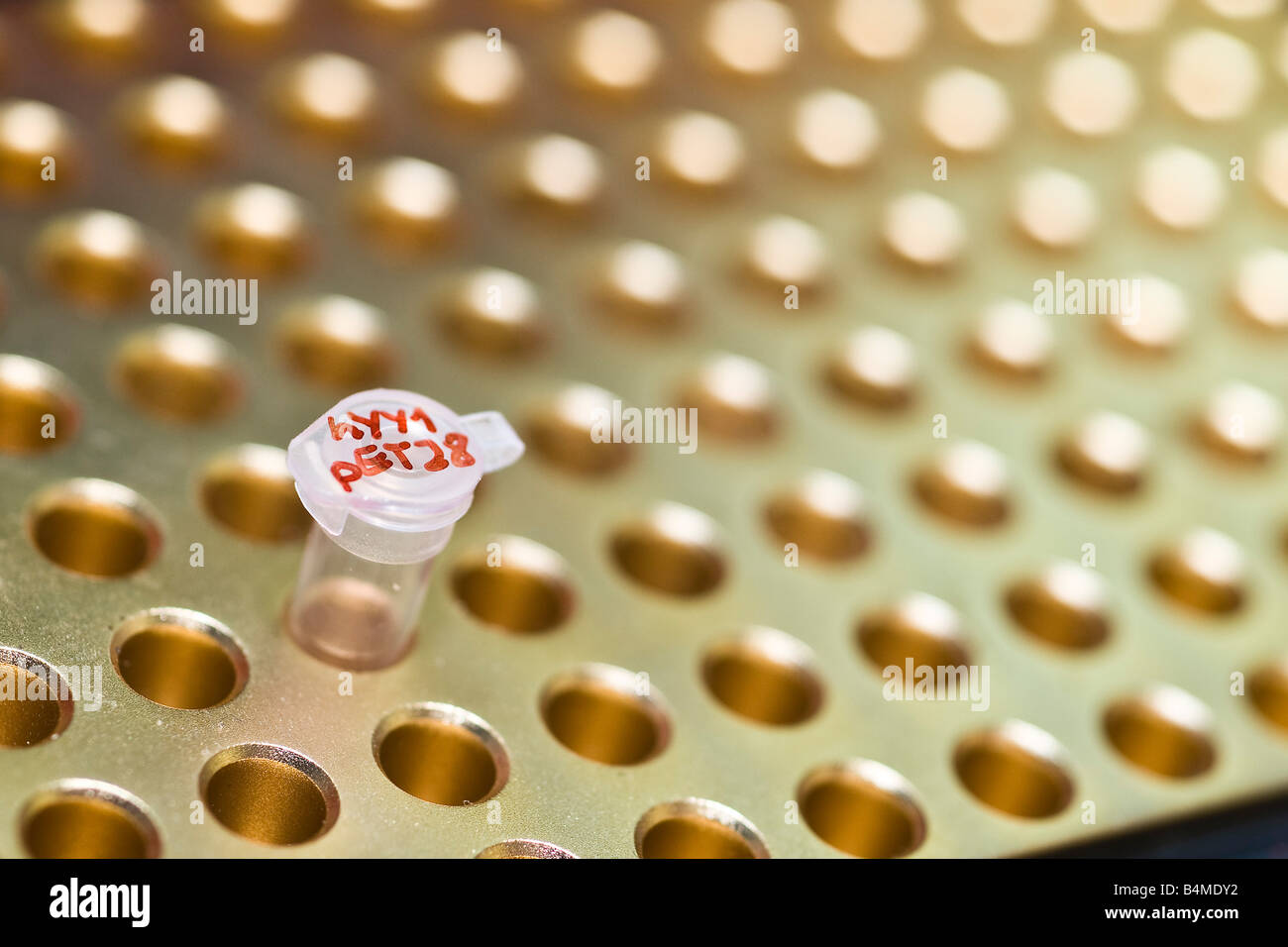 Tube plastique Eppendorf avec panneau rouge en métal machine bloc PCR Banque D'Images