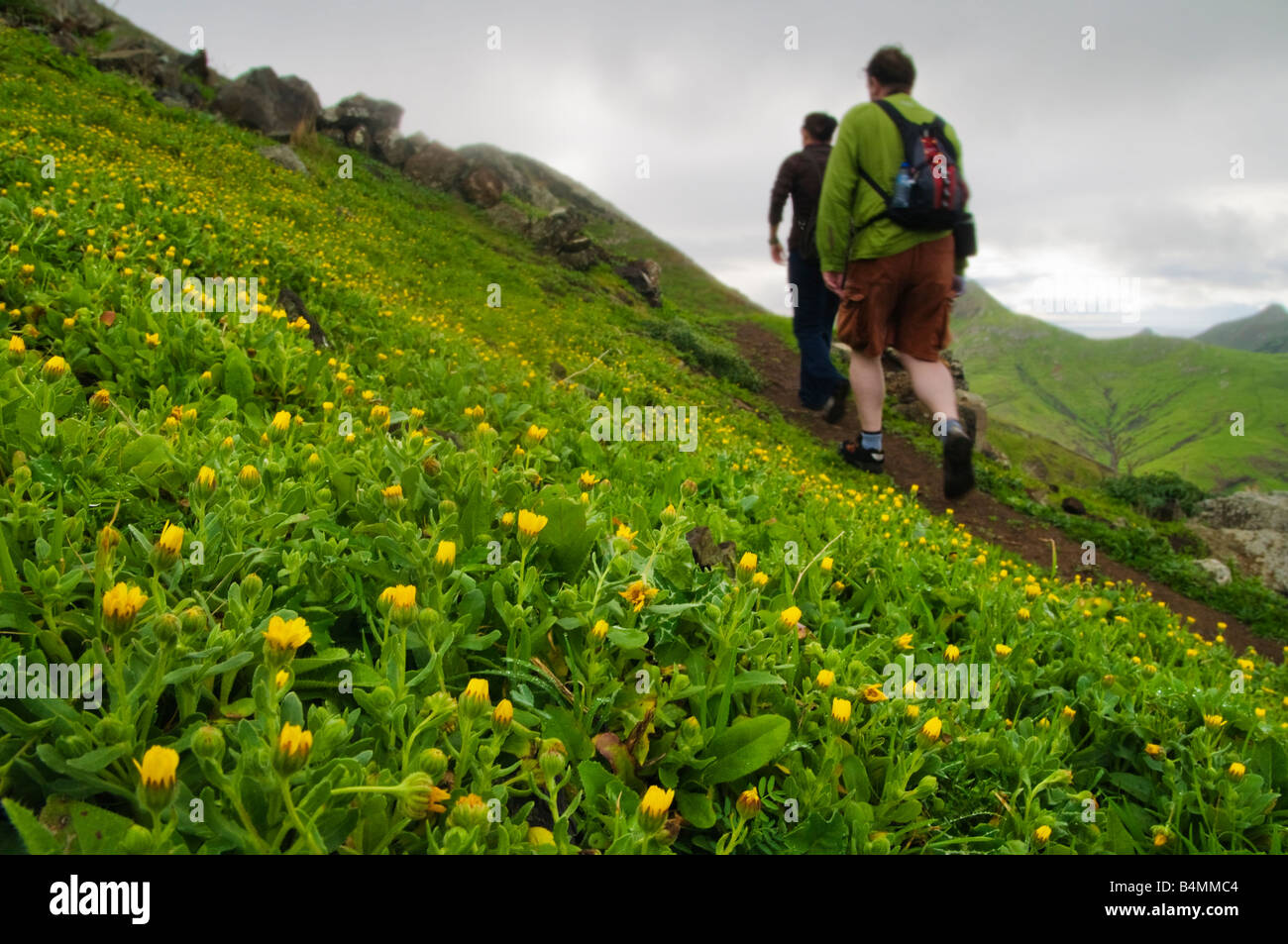 Les marcheurs sur le chemin de Terra Chã sur l'île voisine de Porto Santo à Madère Banque D'Images