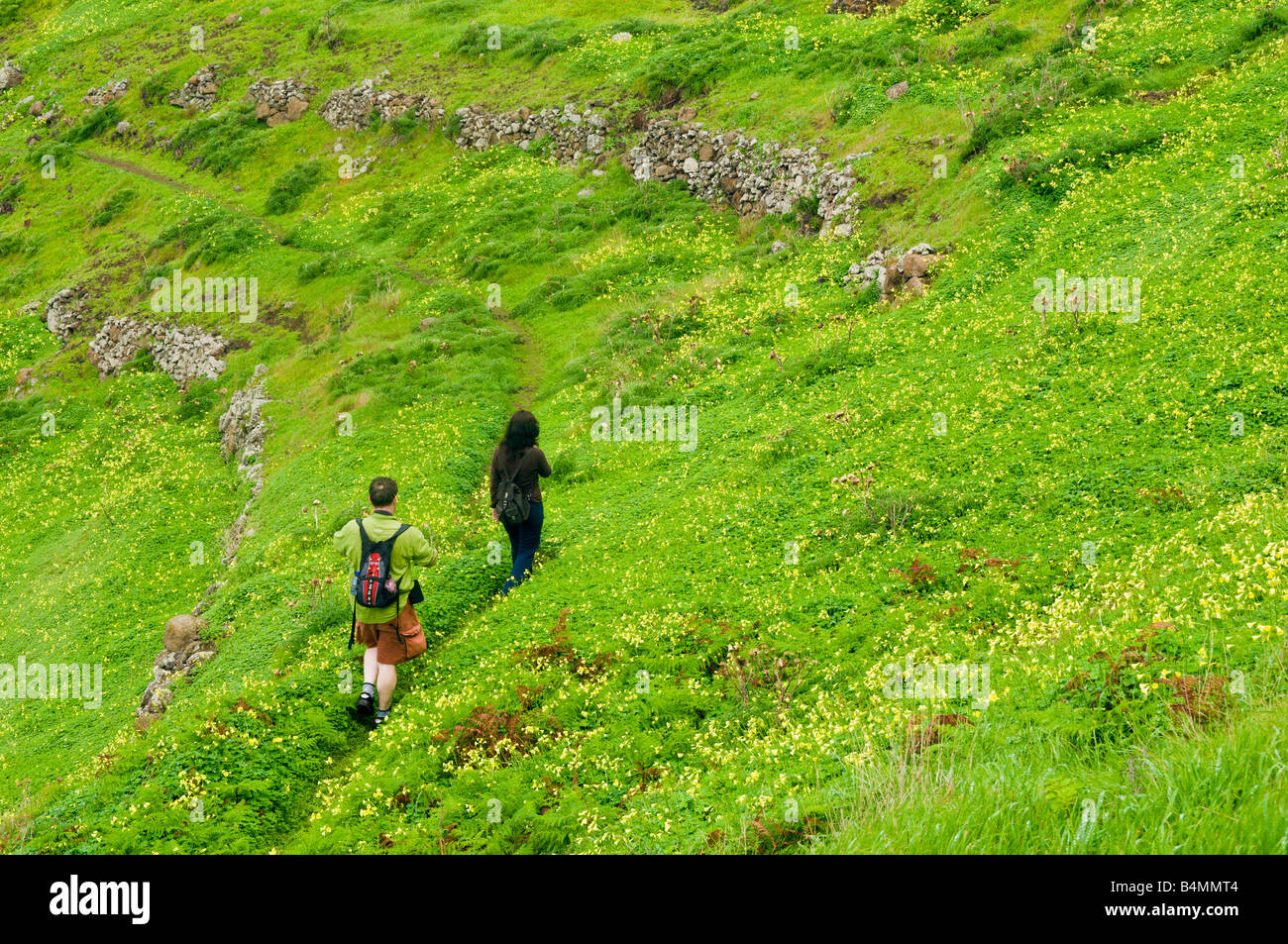 Les randonneurs passent les champs abandonnés ci-dessous Pico Branco sur l'île voisine de Porto Santo à Madère Banque D'Images