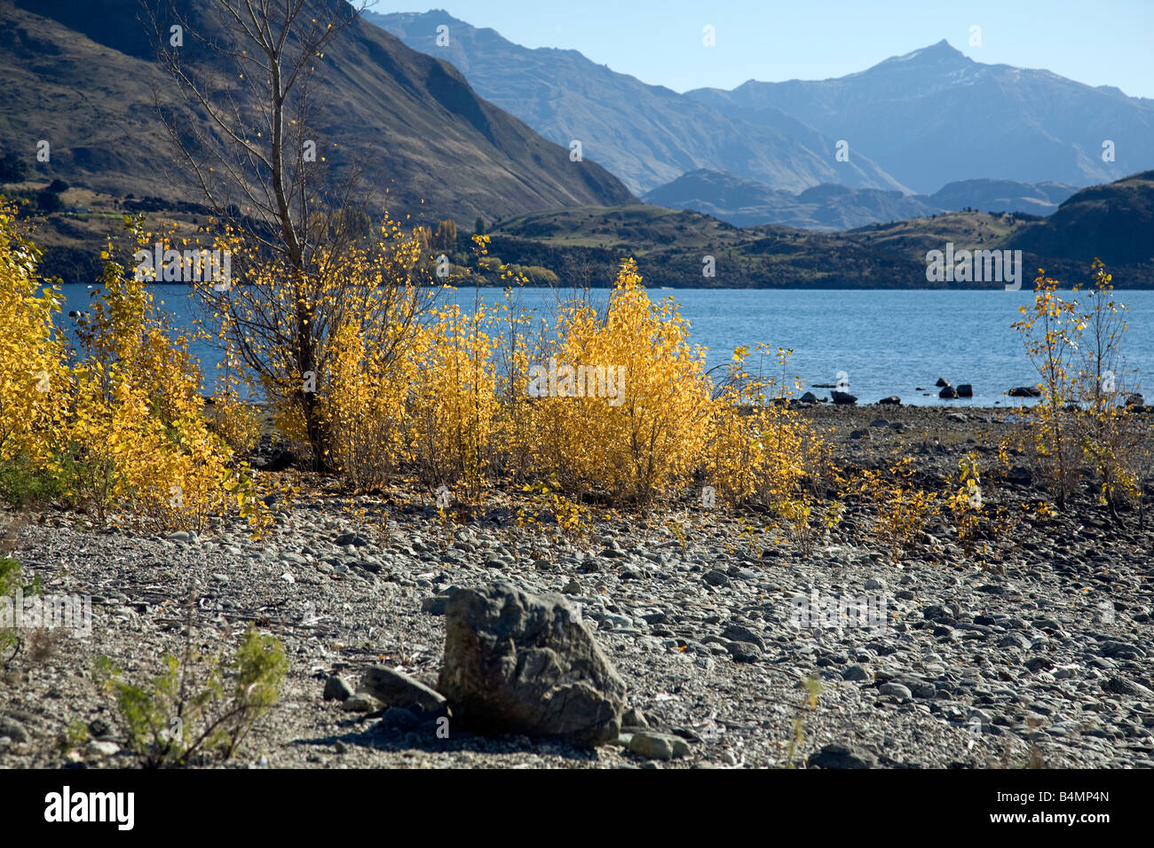 Lac Wakatipu, couleur automne, région d'Otago, sur l'île sud de la Nouvelle-Zélande Banque D'Images