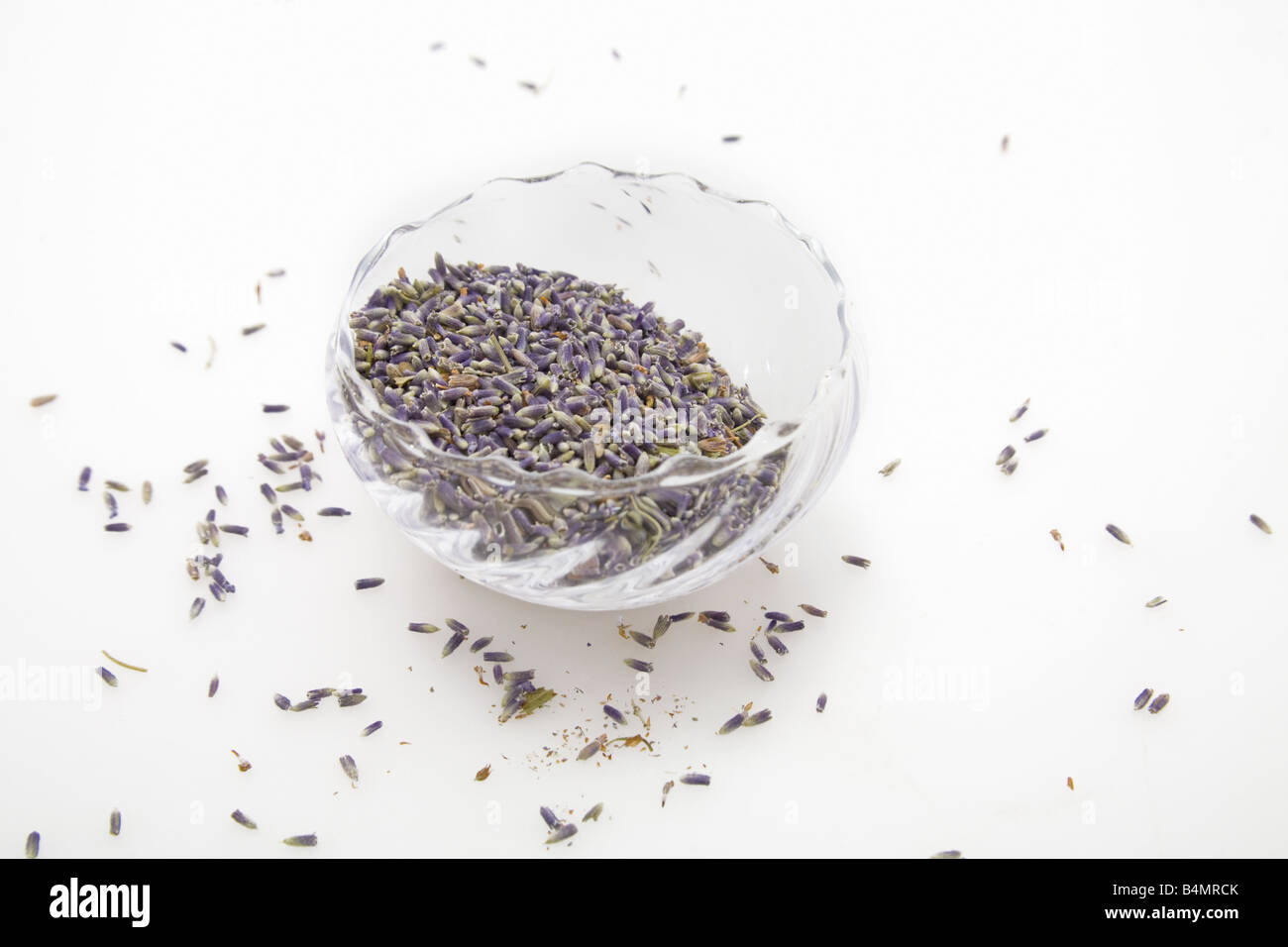 Un bol en verre de lavande (Lavendula angustifolia) un ingrédient d 'herbes de Provence' Banque D'Images