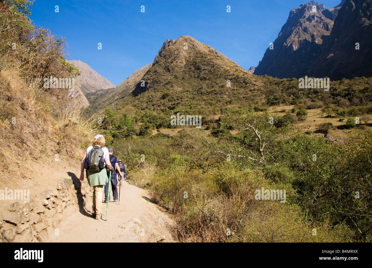 Les randonneurs le long du sentier des Incas, Camino Inca, dans les Andes du Pérou en route vers la passe de femme morte le jour deux des quatre journée de randonnée. Banque D'Images