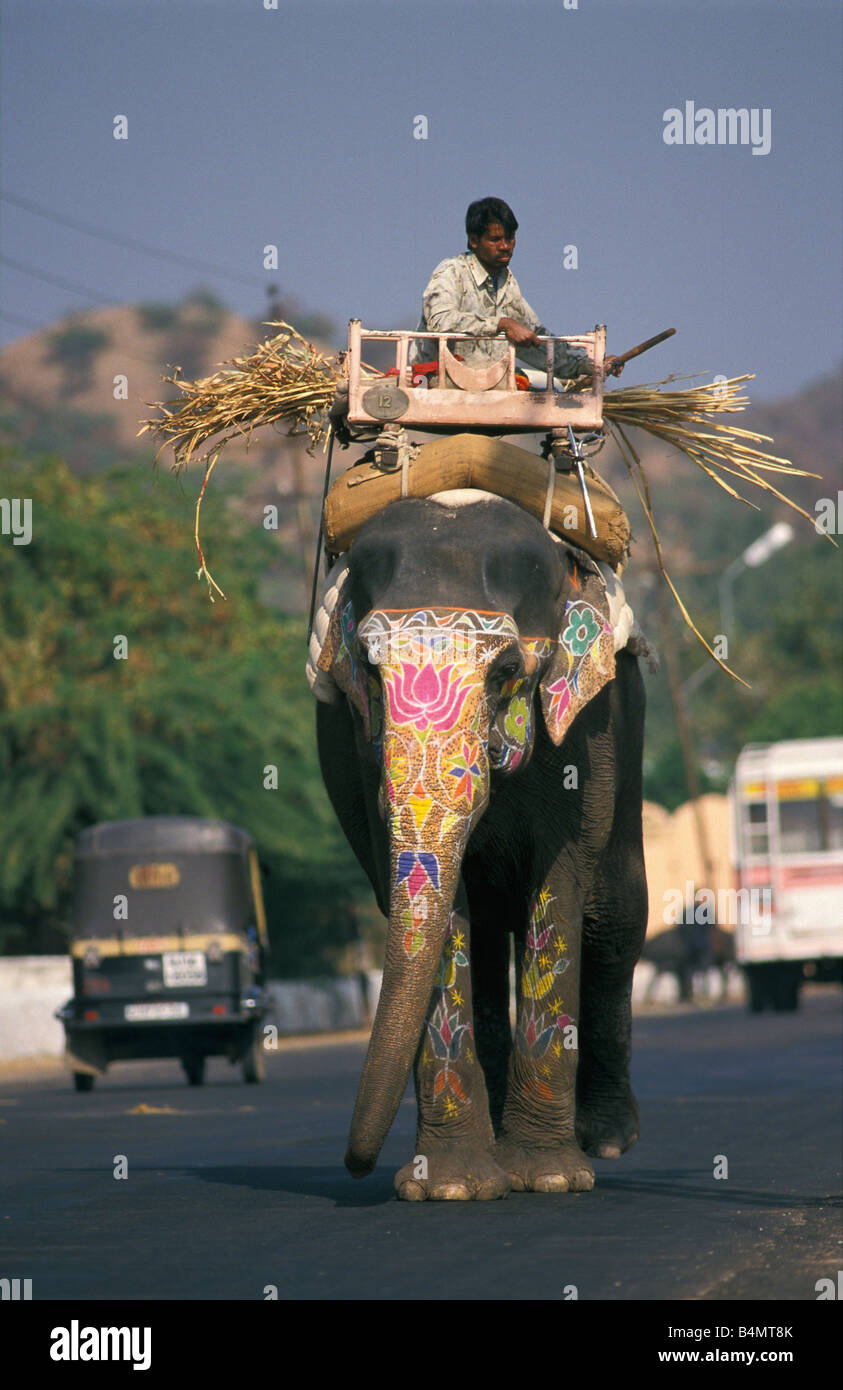 L'Inde Amer avec l'homme éléphant décoré Banque D'Images