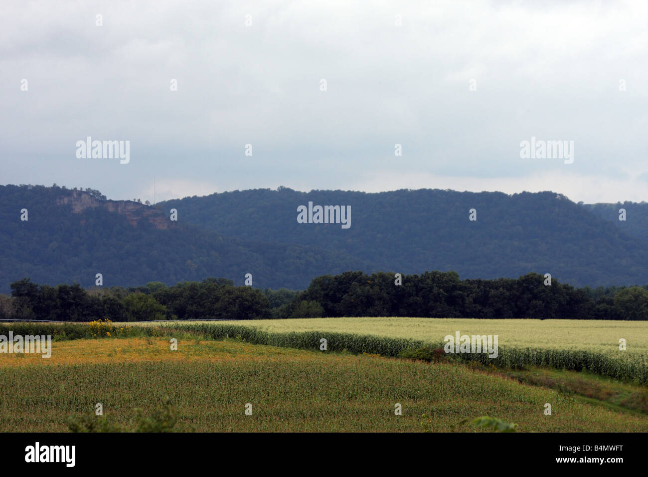 La récolte de maïs et farmfield par temps de pluie dans l'ouest du Wisconsin Automne Banque D'Images