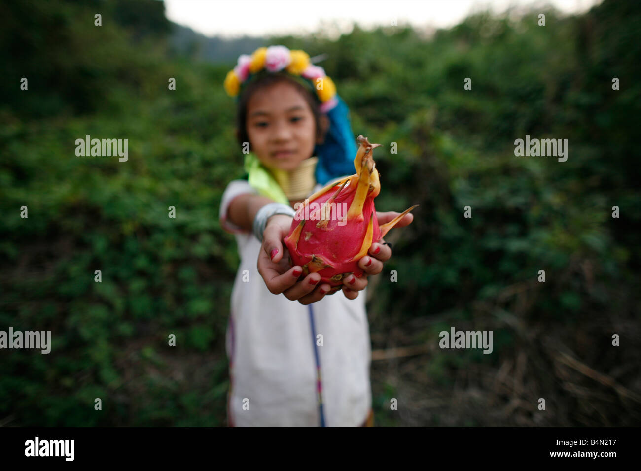 Baidjan girl détient un morceau de fruits locaux Environ 300 réfugiés birmans en Thaïlande sont membres de communautés indigènes Longnecks groupe connu sous le nom de la plus grande des trois villages où l'Longnecks live est appelé Nai Soi situé près de la ville de Mae Hong Son Longnecks porter des bagues métalliques sur le cou qui poussent la clavicule et étendre le cou Ils sont une attraction touristique touristes visitent Nai Soi pour prendre des photos de l'Longnecks et acheter leur artisanat Les villages sont critiqués par les organisations des droits de l'homme comme les zoos Banque D'Images