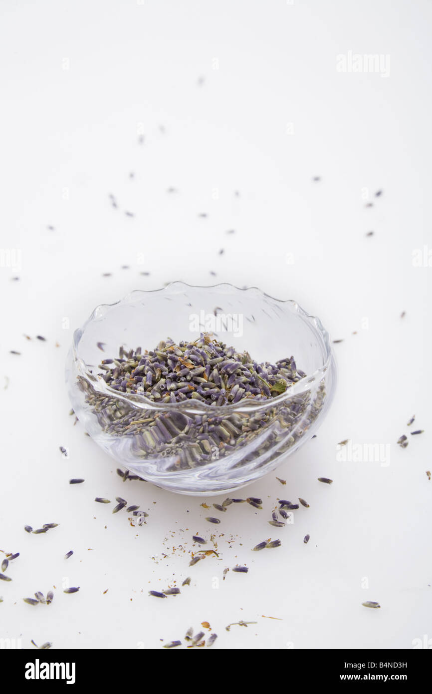 Un bol de Lavendula angustifolia lavande séchée, un ingrédient de 'herbes de Provence' Banque D'Images