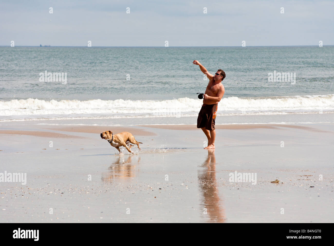 L'homme jouant à la balle avec son chien sur la plage en Floride Banque D'Images