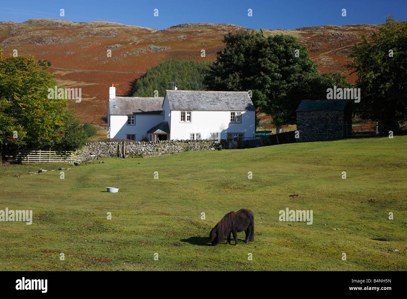 Maison de ferme avec poney fell dans le champ en face de farm house à Park Gate, Dockray, Ullswater, le Parc National de Lake District. Banque D'Images