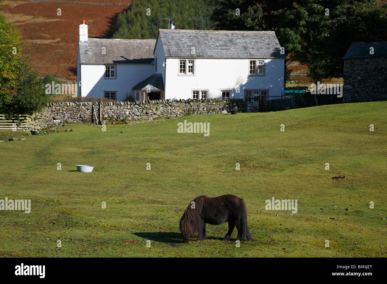 Maison de ferme avec poney fell dans le champ en face de farm house à Park Gate, Dockray, Ullswater, le Parc National de Lake District. Banque D'Images