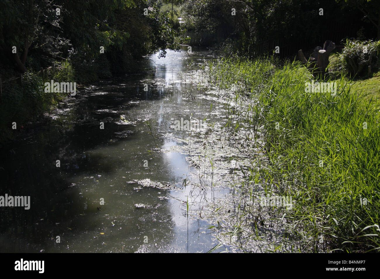 Cours d’eau calme Banque D'Images