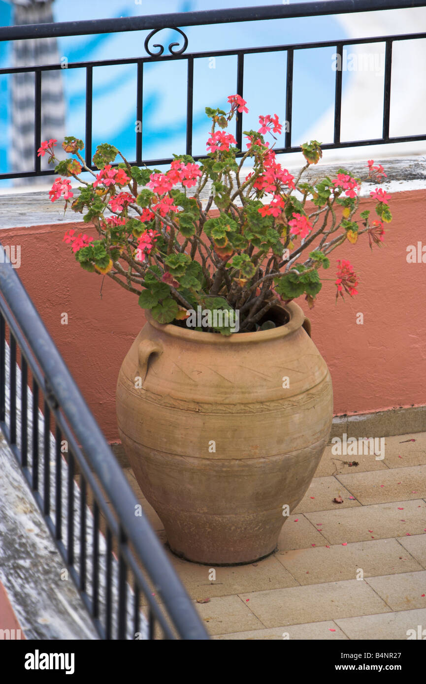Fleurs sur balcon corfu Banque D'Images