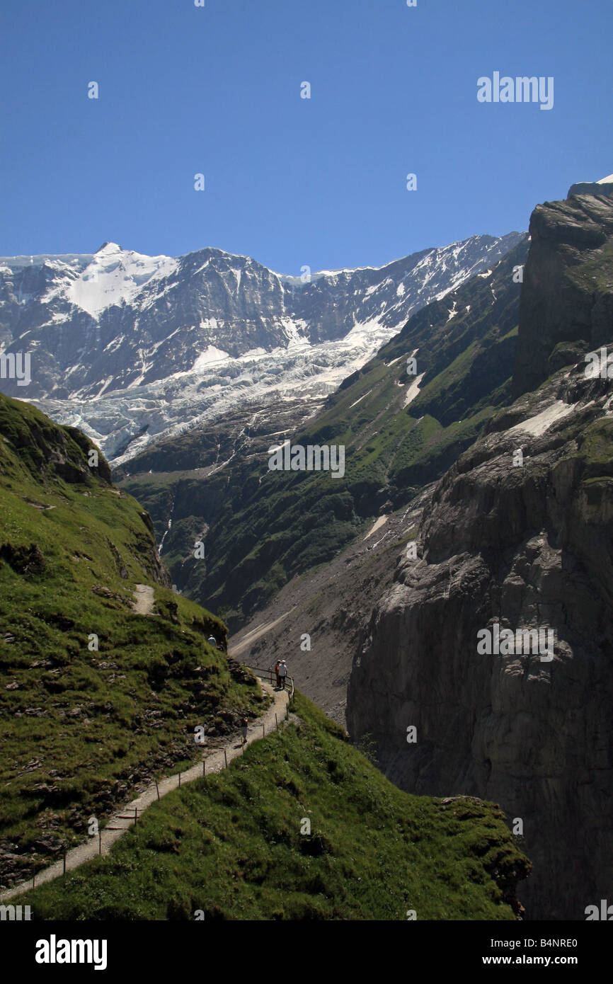 Voir l'Unterer Grindelwaldgletscher Fiescherhorner vallée en direction de la région de la Jungfrau de Suisse. Banque D'Images