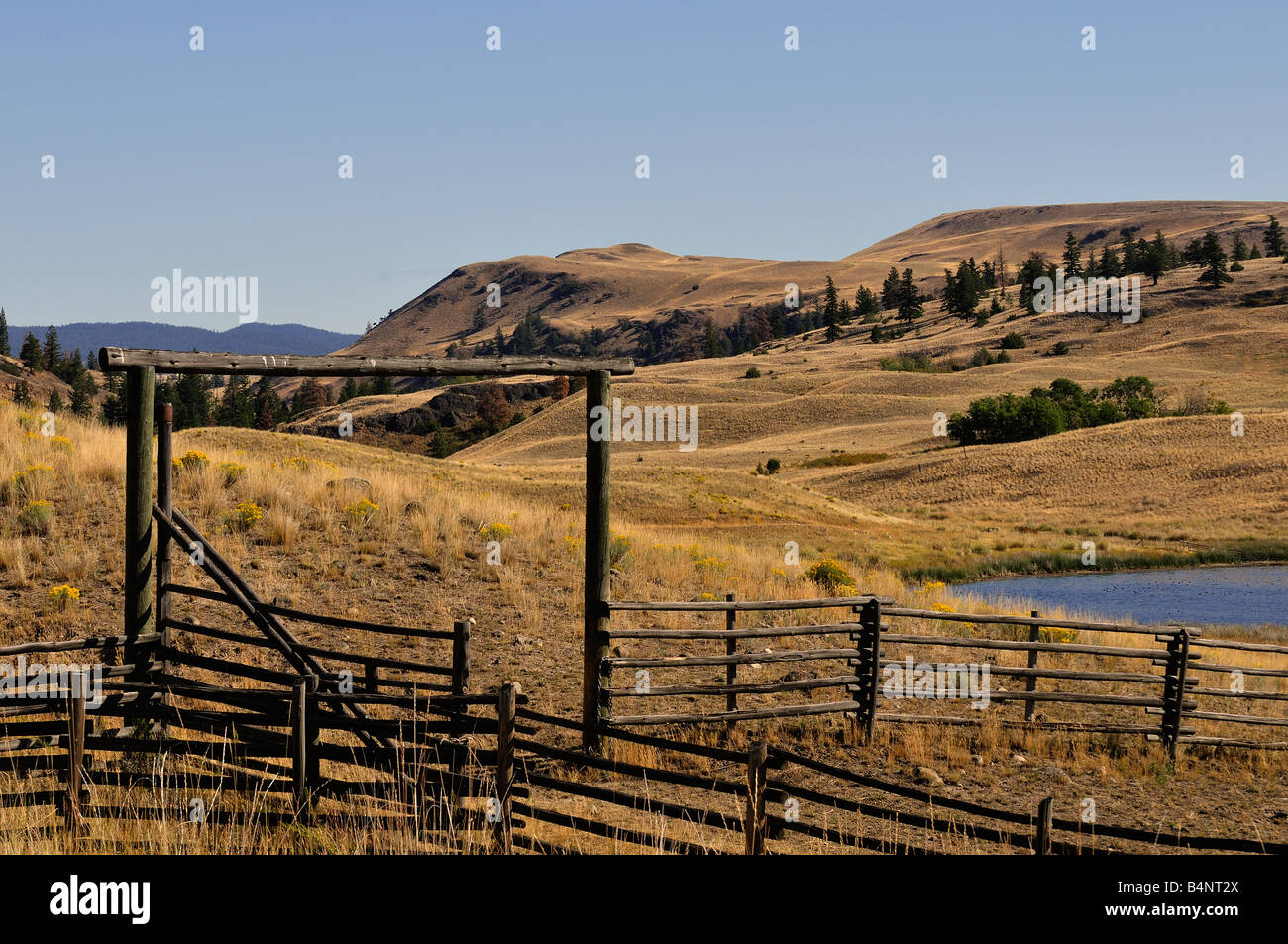 Nicola Valley Ranch, 2008 Banque D'Images