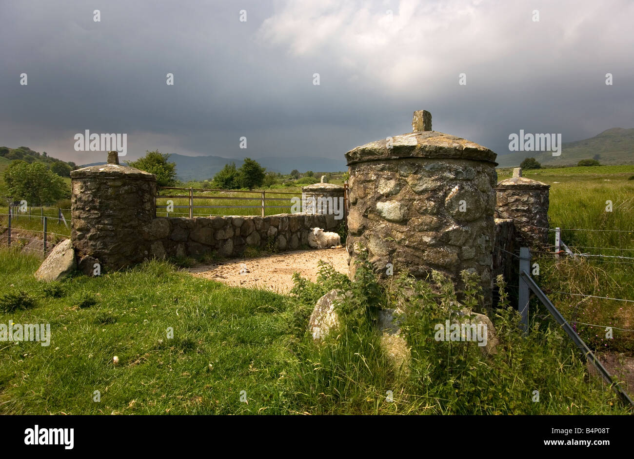 Les moutons reposant sur l'ancien pont de pierre sur cuir. Une partie de l'électricité hydro Dolgarrog scheme près de Conwy, Nord du Pays de Galles Banque D'Images