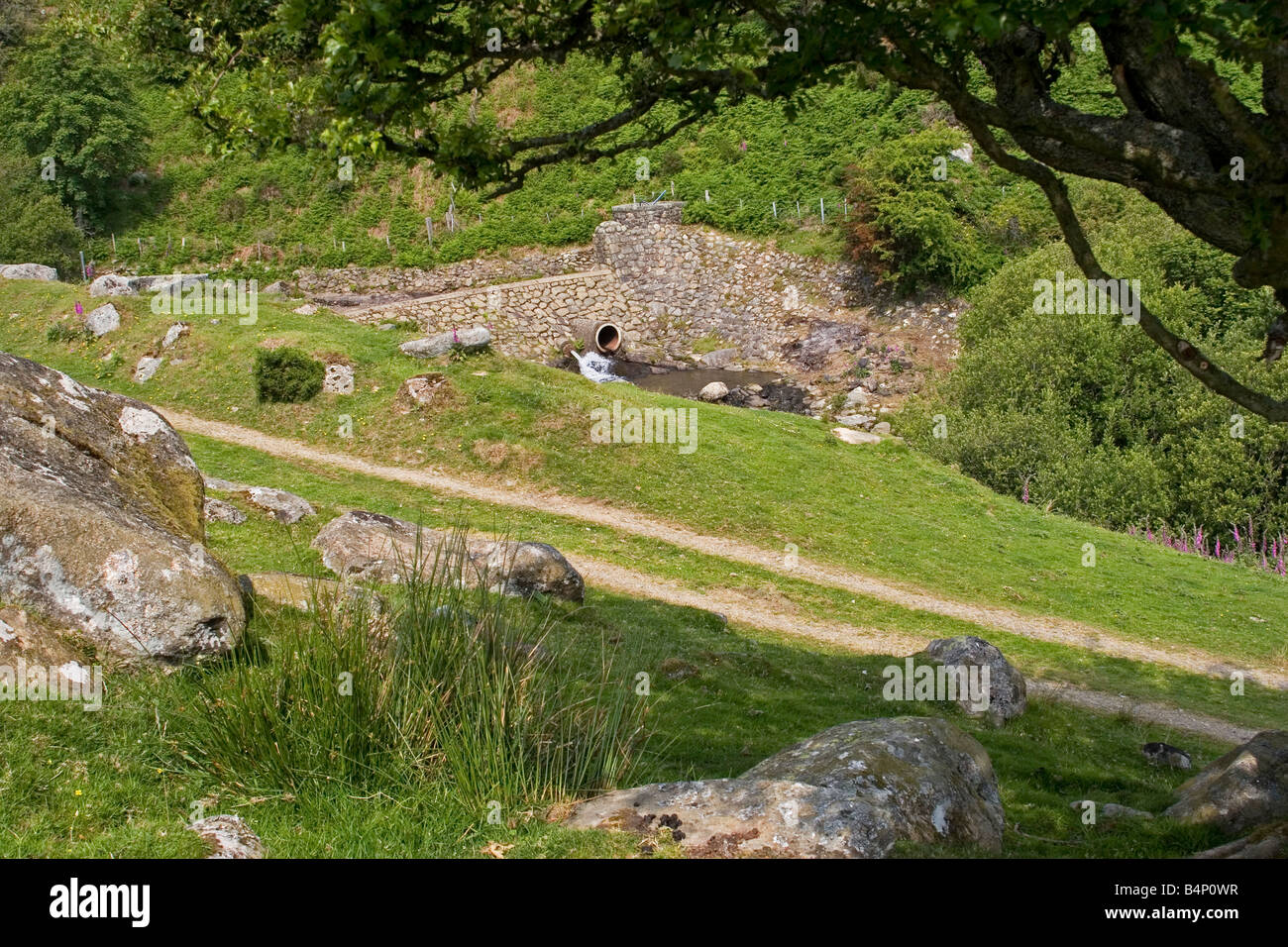 Rowlyn barrage déversoir et faisant partie de la gestion de l'eau Débit d'électricité hydro Dolgarrog scheme près de Conwy, Nord du Pays de Galles UK Banque D'Images