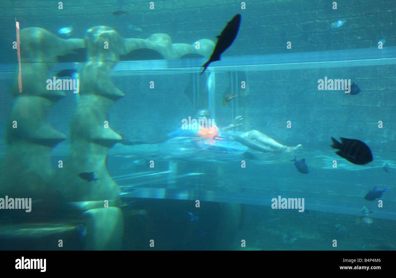 Hotel Atlantis, The Palm, Dubai, Émirats arabes unis. Parc aquatique