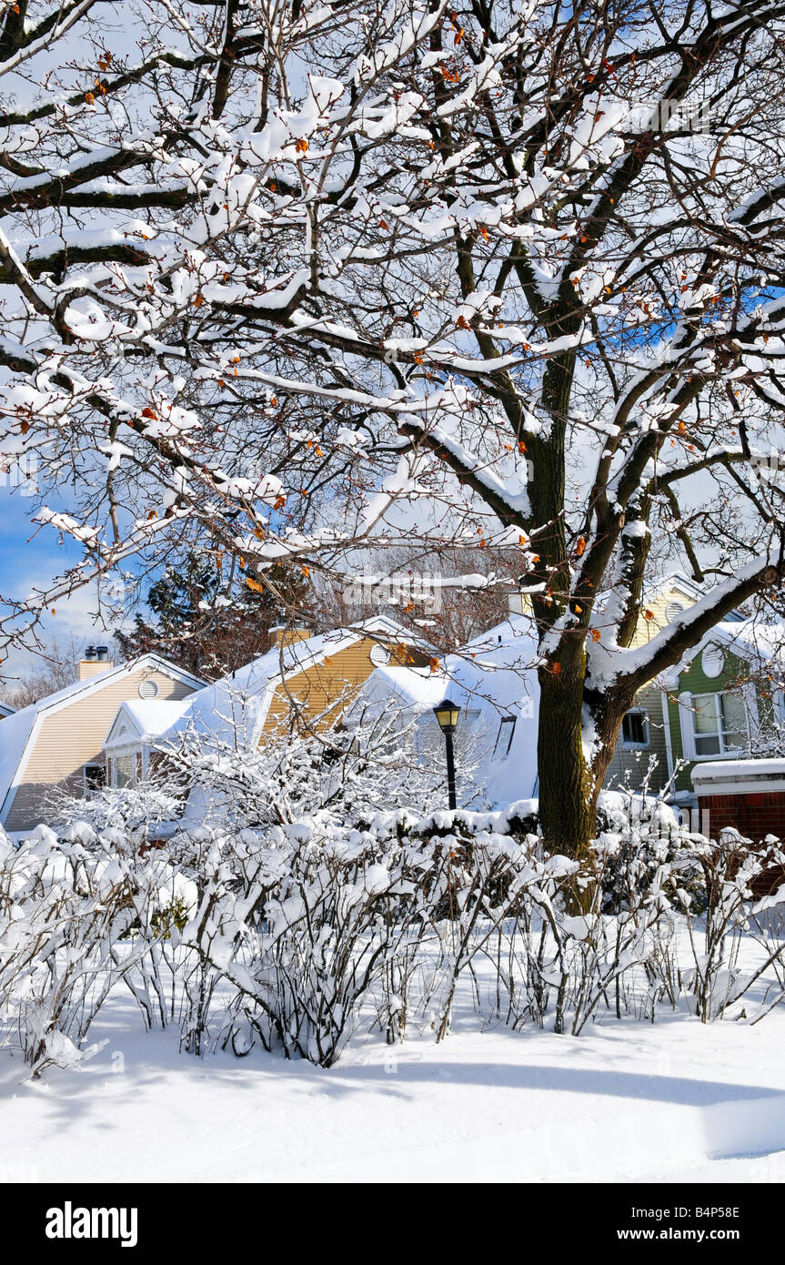 Rue d'hiver avec beaucoup de neige et de maisons colorées à Toronto Banque D'Images