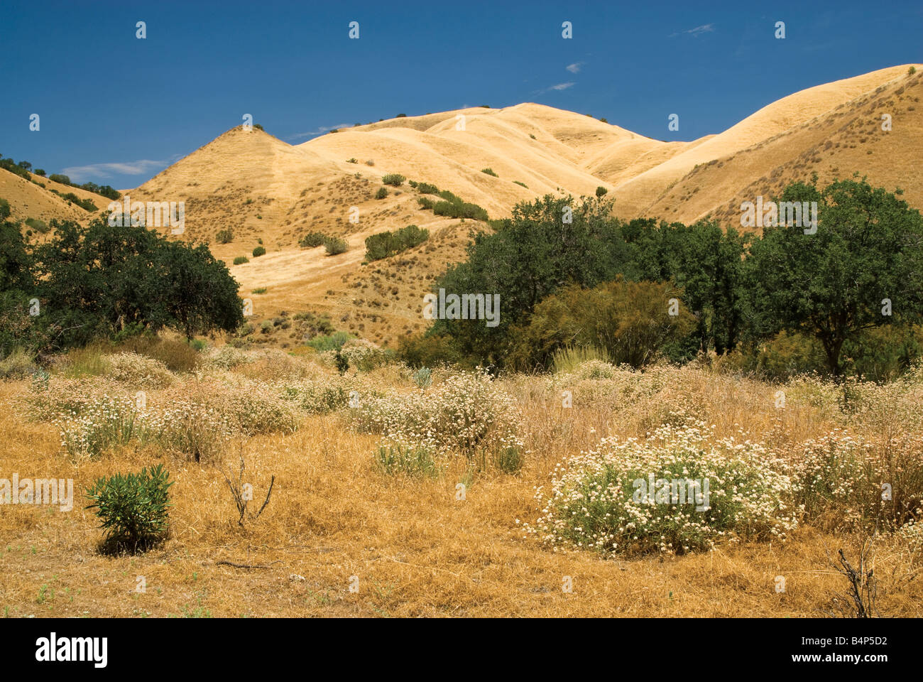 Gamme Diablo hills de Los Gatos Road comté de Fresno California USA Banque D'Images