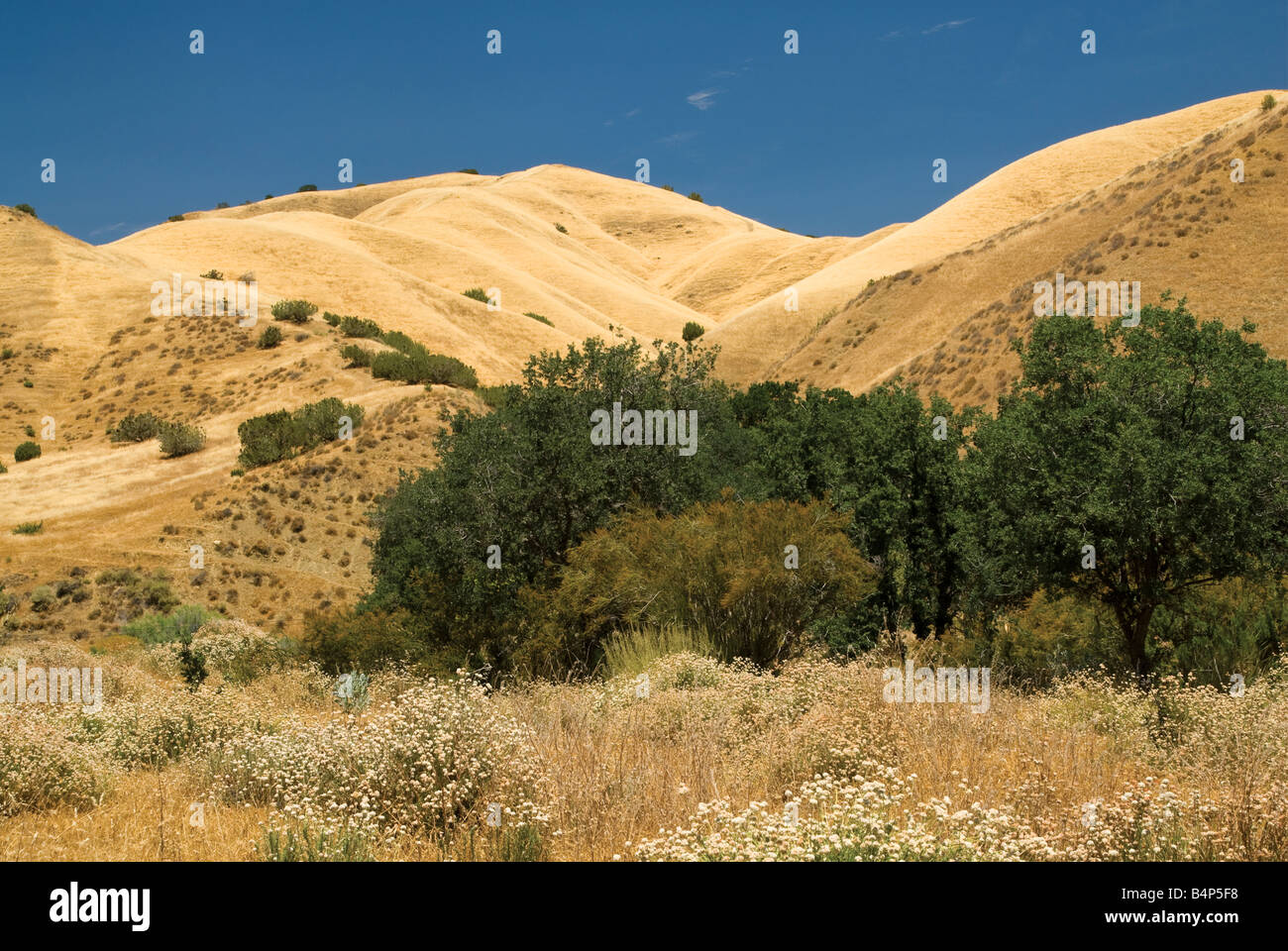 Gamme Diablo hills de Los Gatos Road comté de Fresno California USA Banque D'Images