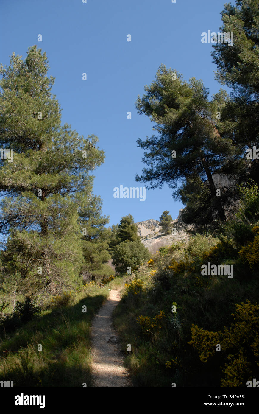 La voie à Vila de Muro rock pinacles, Sierra de Serrella, Comtat, Province d'Alicante, Communauté Valencienne, Espagne Banque D'Images