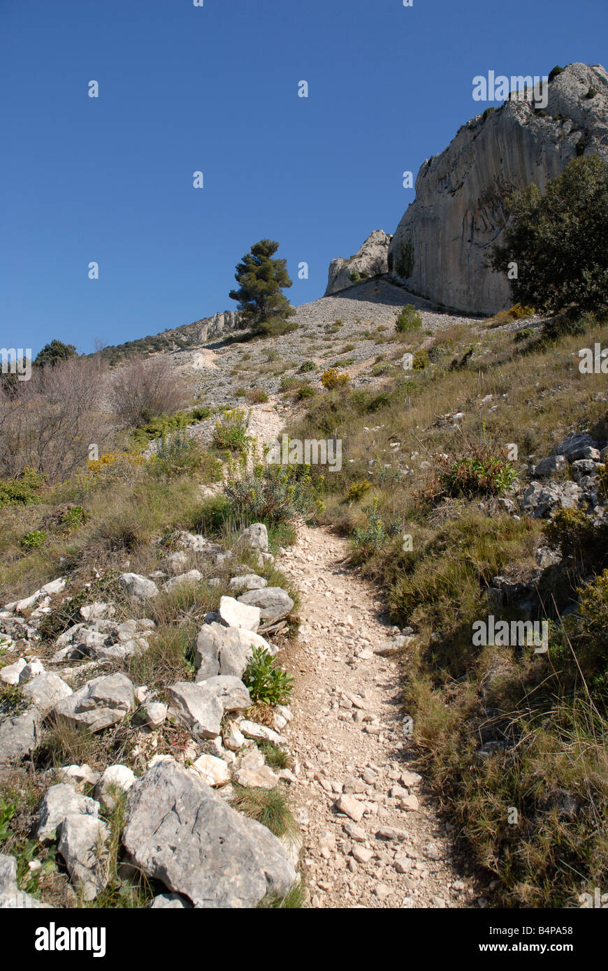 Pierrier et le chemin de Vila de Muro rock pinacles, Sierra de Serrella, Comtat, Province d'Alicante, Communauté Valencienne, Espagne Banque D'Images