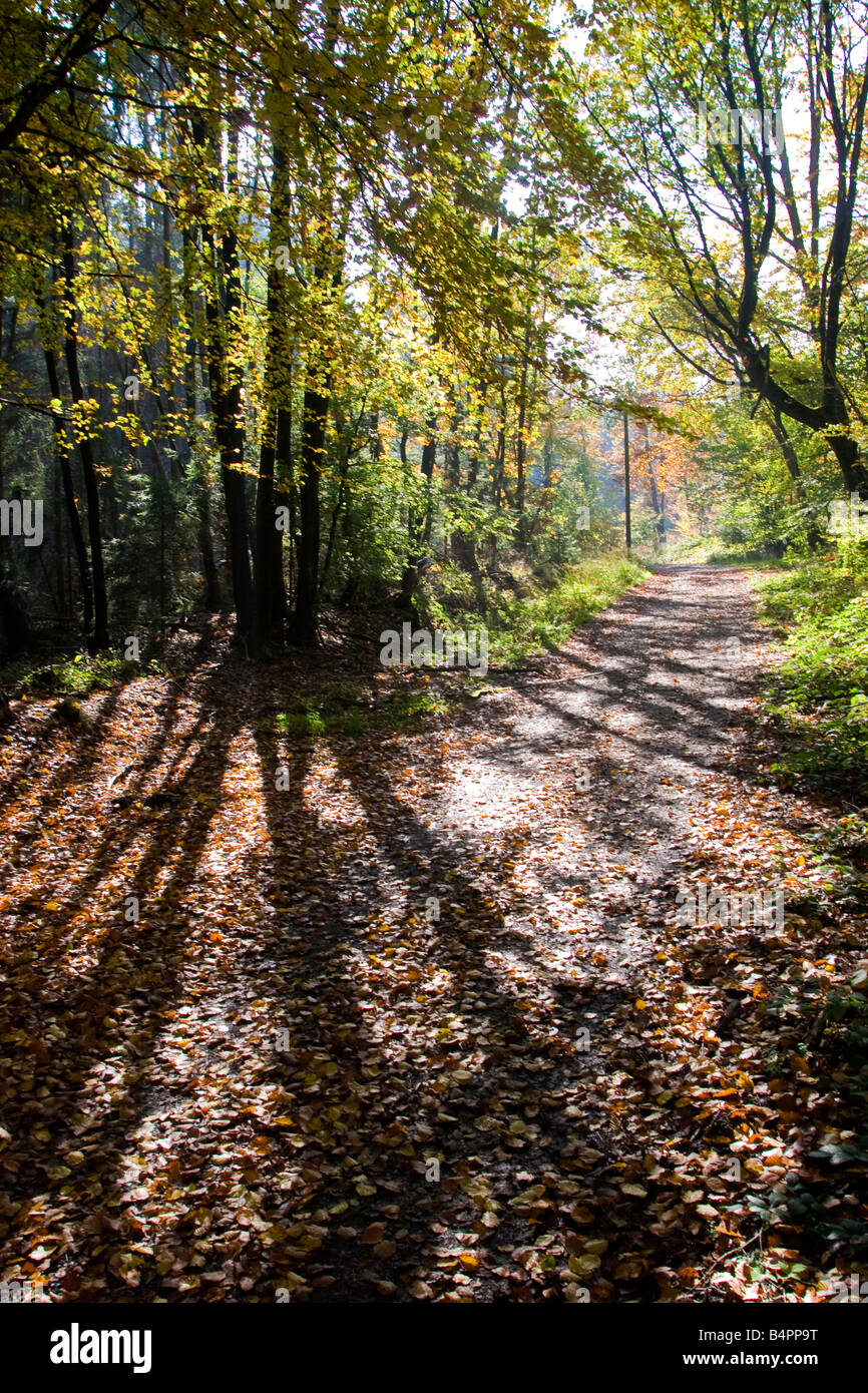 Dans Paysage près de Bergisches Land, Allemagne Windeck Banque D'Images
