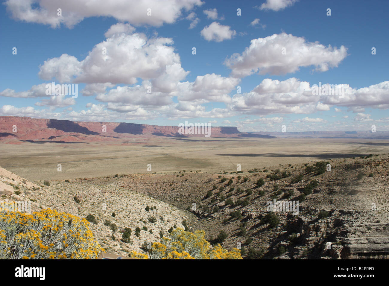 Ciel bleu montagnes nature route vers Grand Canyon North Rim Arizona,USA Banque D'Images