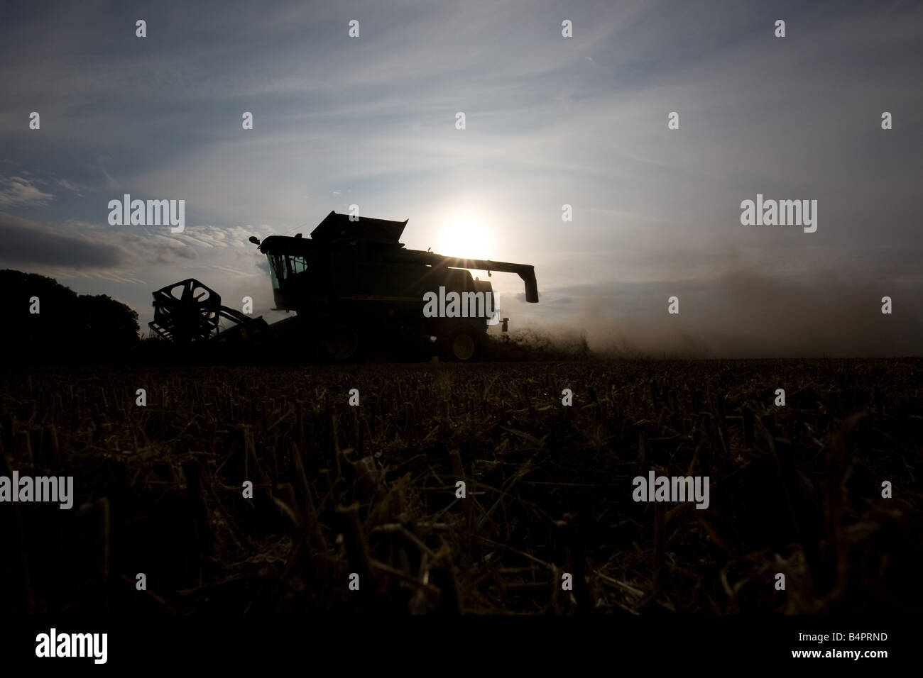 Moissonneuse-batteuse John Deere la récolte en fin d'après-midi Banque D'Images