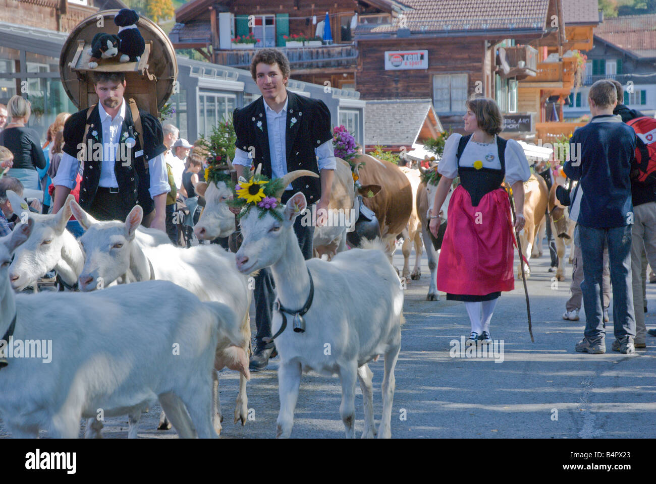 Swiss hommes et femmes vêtus de costumes folkloriques traditionnels de mener leurs vaches et chèvres dans le défilé annuel Alpenfest. Banque D'Images